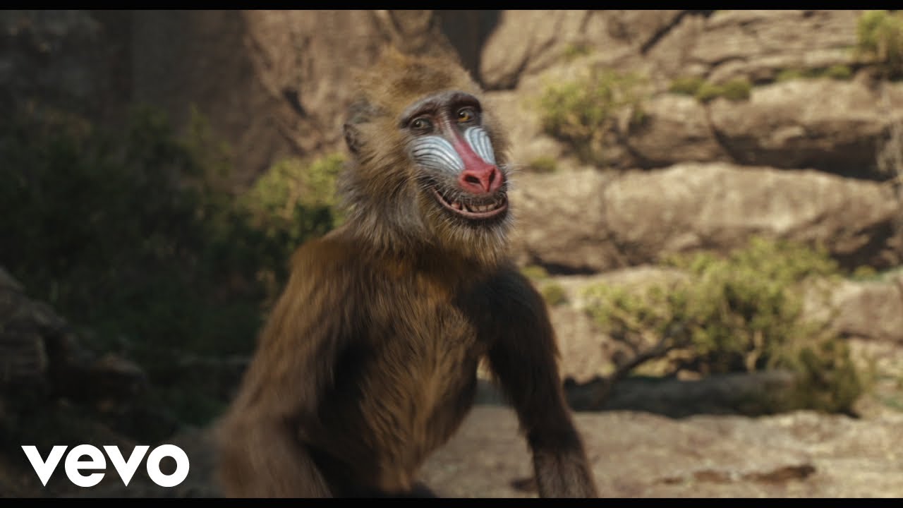 We Go Together (From "Mufasa: The Lion King") (Official Video)