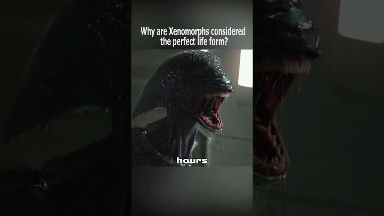 Why are Xenomorphs considerd the perfect life form?