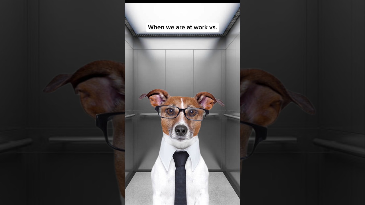 When I'm home with my dog #shorts #dog #dogs