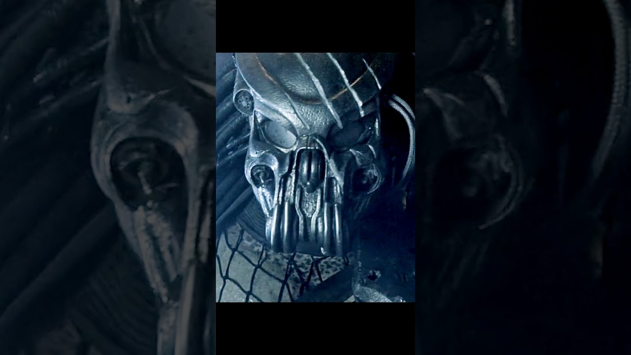 Alien vs. Predator – Deadly Showdown Ends in Betrayal of the Hunter 👽🔪