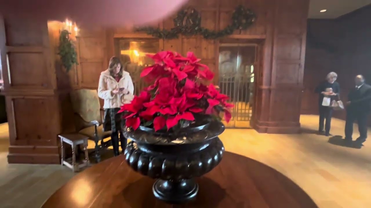 Green Valley Grill favorite Greensboro restaurant European and Meditteranean flavors cocktail bar