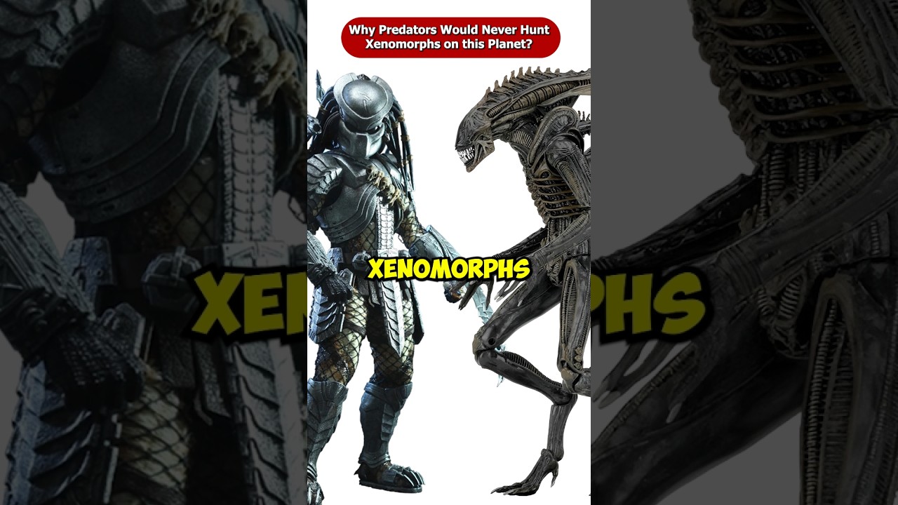 Why Predators Would Never Hunt Xenomorphs On Their Home Planet? #Shorts #Viral