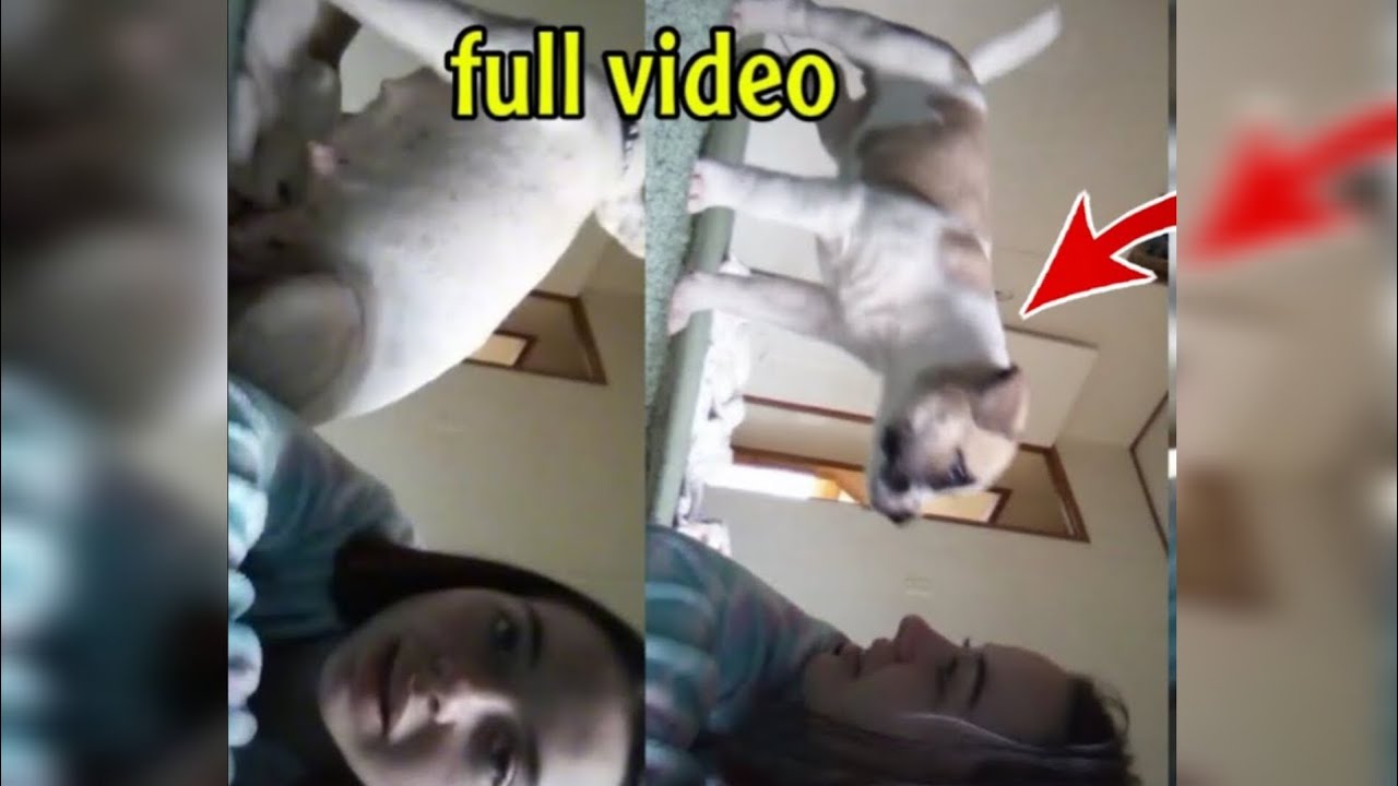 Denise Frazier full viral dog video | Denise Frazier dog video | Denise Frazier video