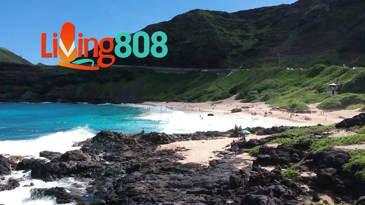 Fresh Dim Sum Now Served Daily at Ten Seconds Yunnan Rice Noodle in Pearlridge