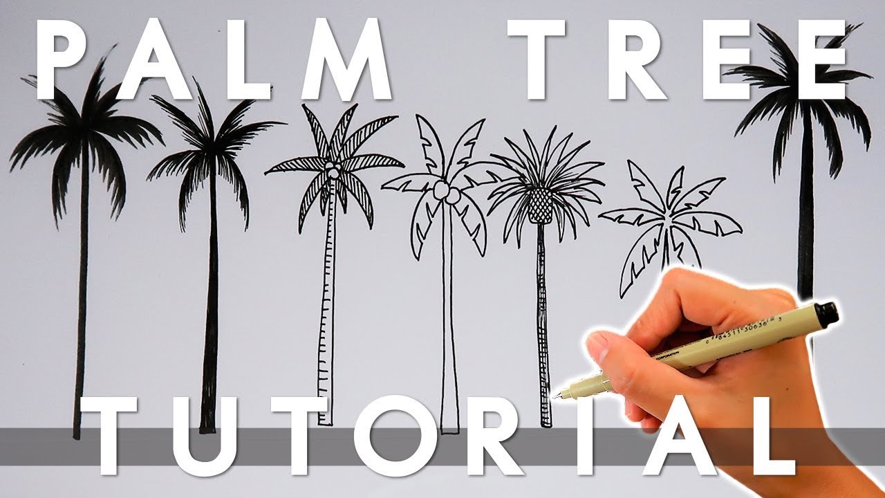 How To Draw A Palm Tree | 6 Palm Tree Doodles | Draw With Me
