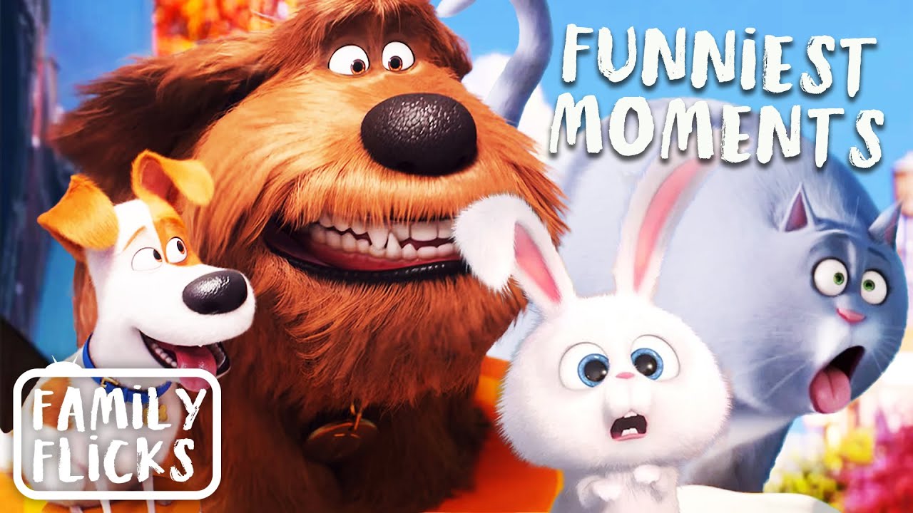 All-Time Funniest Moments in The Secret Life Of Pets Movies | Family Flicks