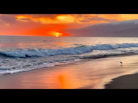 Coastal Sunset Tranquility - 12Hours Calming Wave Sounds for Relaxation, Meditation, Deep Sleeping