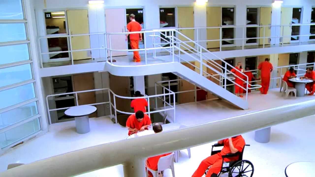 David L. Moss Documentary