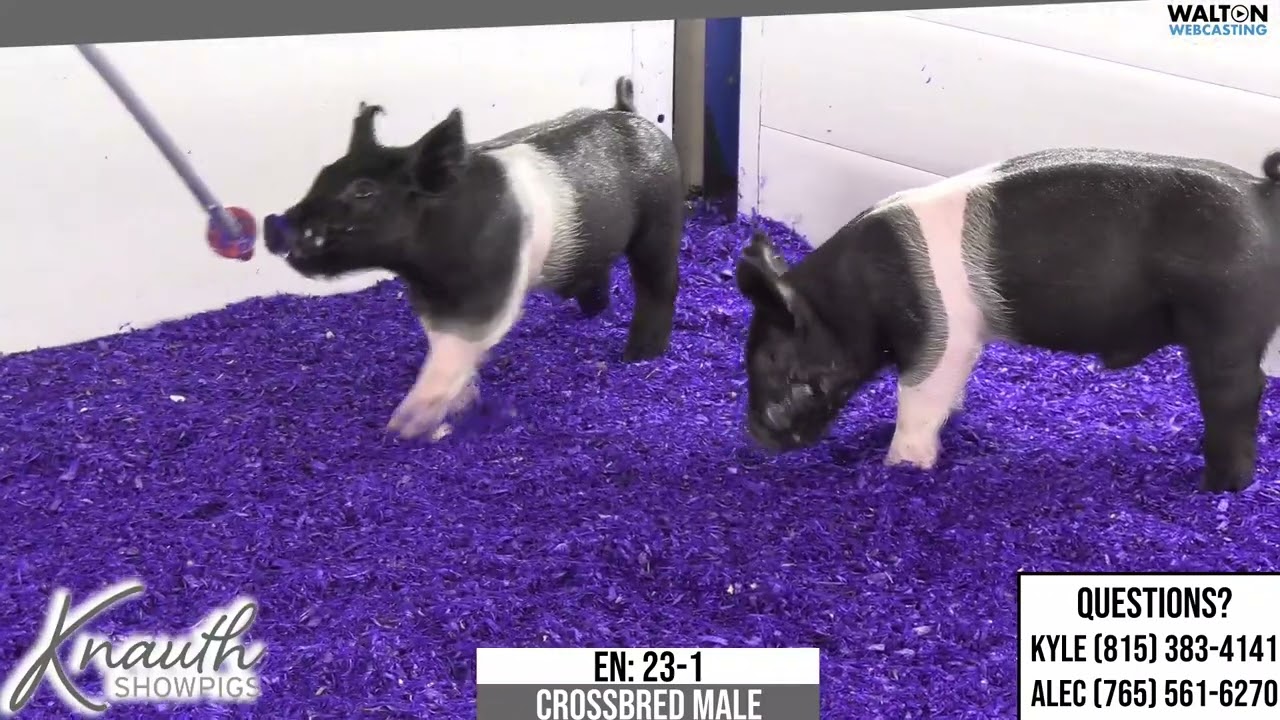 Knauth EN   23 1  Dec. 29 Sale