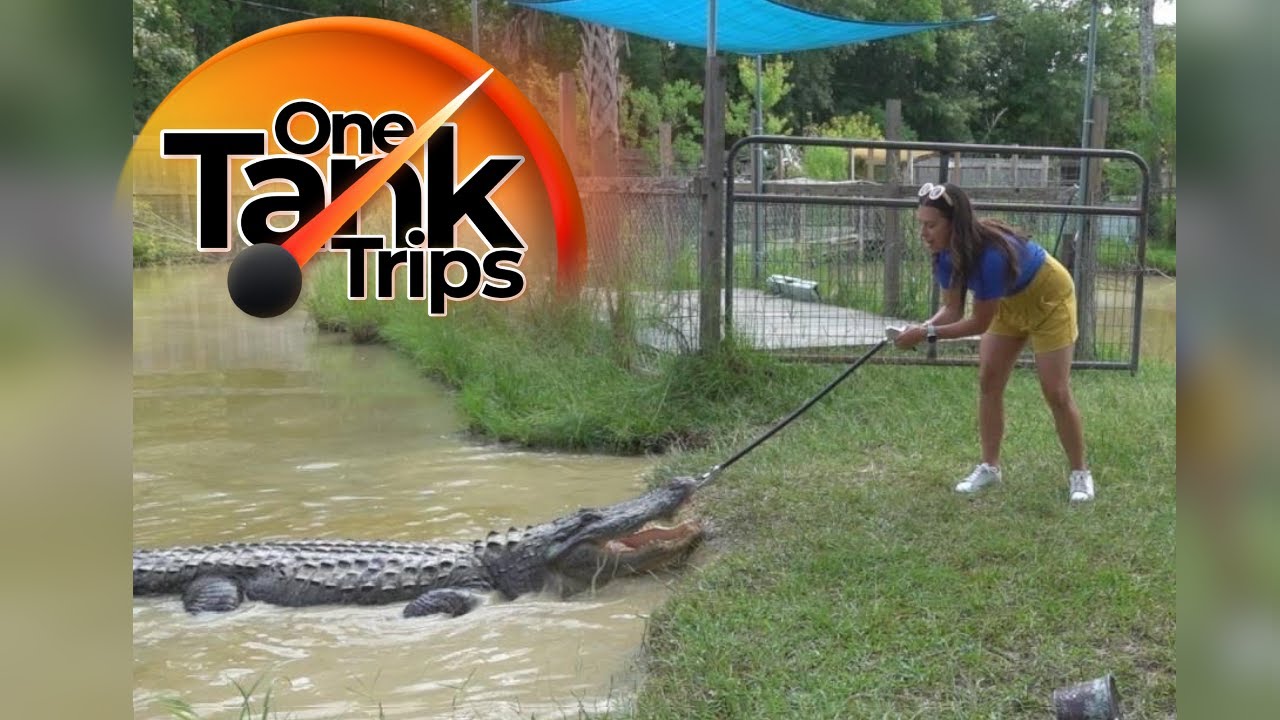 One Tank Trips with Falon Brown: Ponchatoula