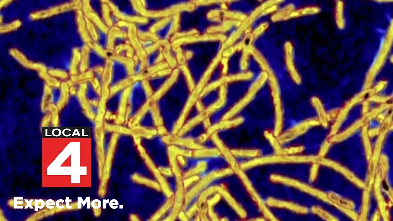 Local 4 News at 11 -- Dec. 5, 2025