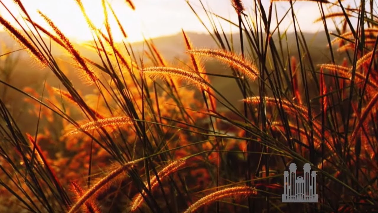Homeward Bound, arr. Mack Wilberg (2019) - The Tabernacle Choir