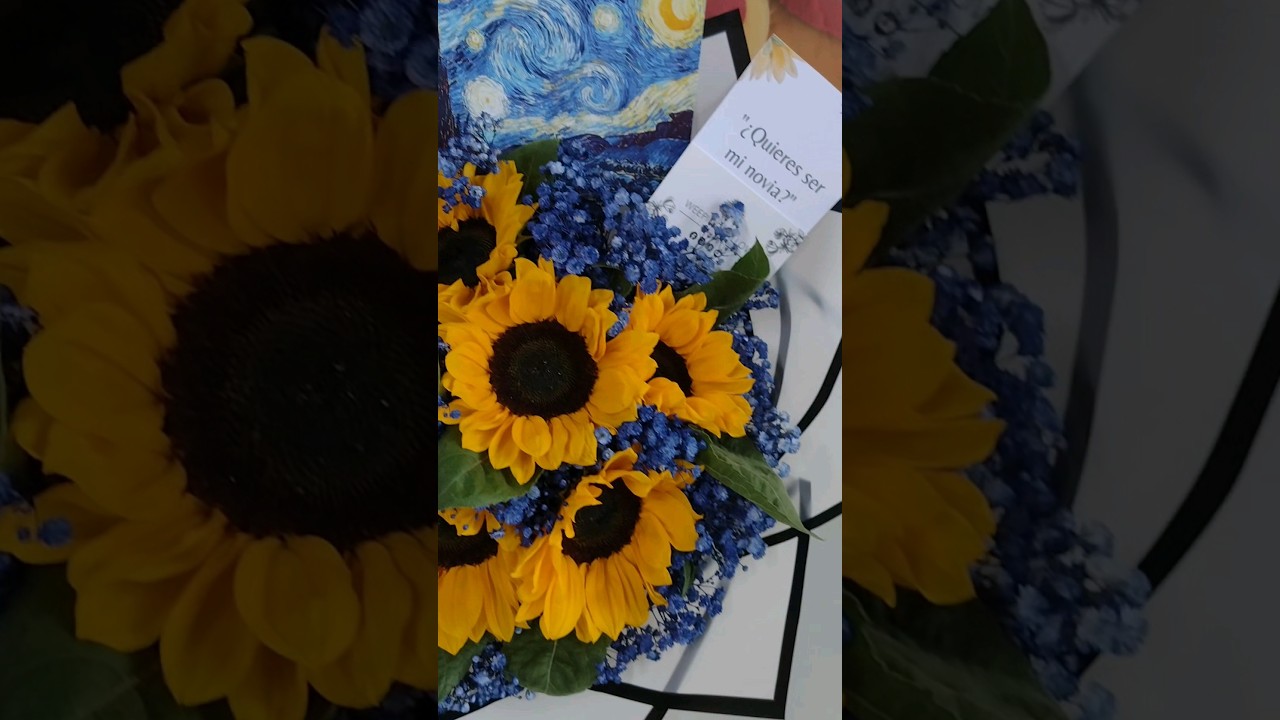 Pack Van Gogh 💙 #floreria #girasoles #ramodeflores #flowers #ramodegirasoles