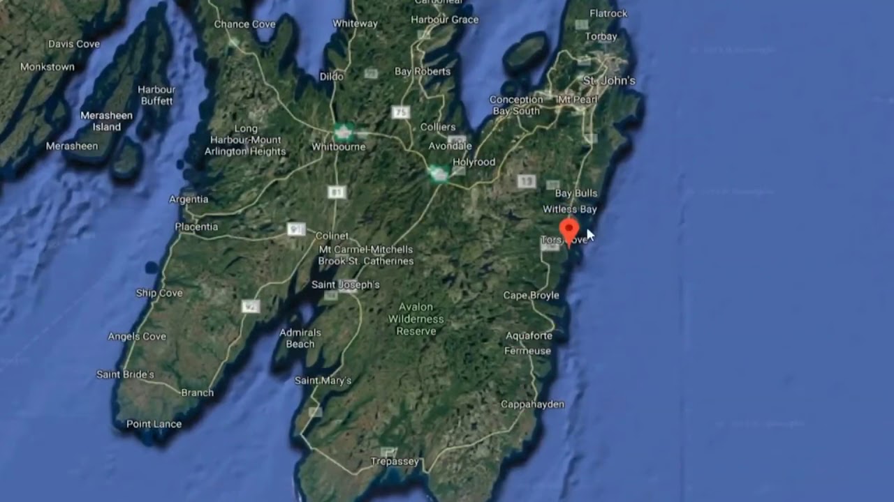 PEE PEE ISLAND 🌴 | PewDiePie Meme