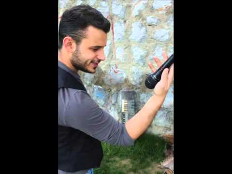 PAU  BONZAI  ROMAN HAVASI Zulalala Bonzai