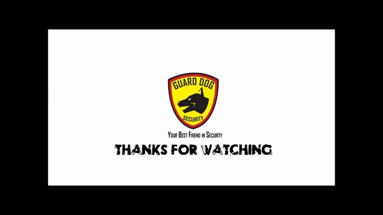 Guard Dog Stun Guns International Shipping.wmv