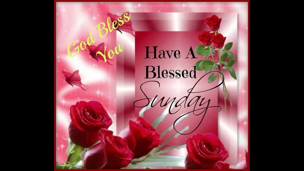 Happy Sunday Greetings/Quotes/Sms/Wishes/Saying/E-Card/Wallpapers/ Whatsapp Video