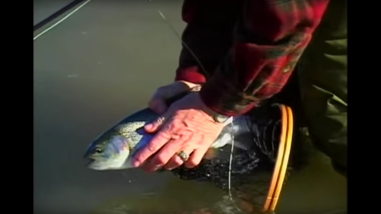 Trout Fishing with the Texas Women's Fly Fisher Club