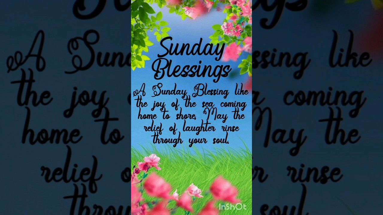 Sunday blessings #sundaywishes #sundayprayer #jesussong #morningprayer #sundayblessing #maythelordbl