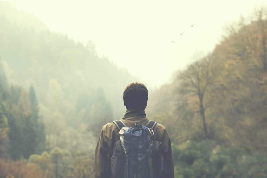 Ways to Reconnect with Nature