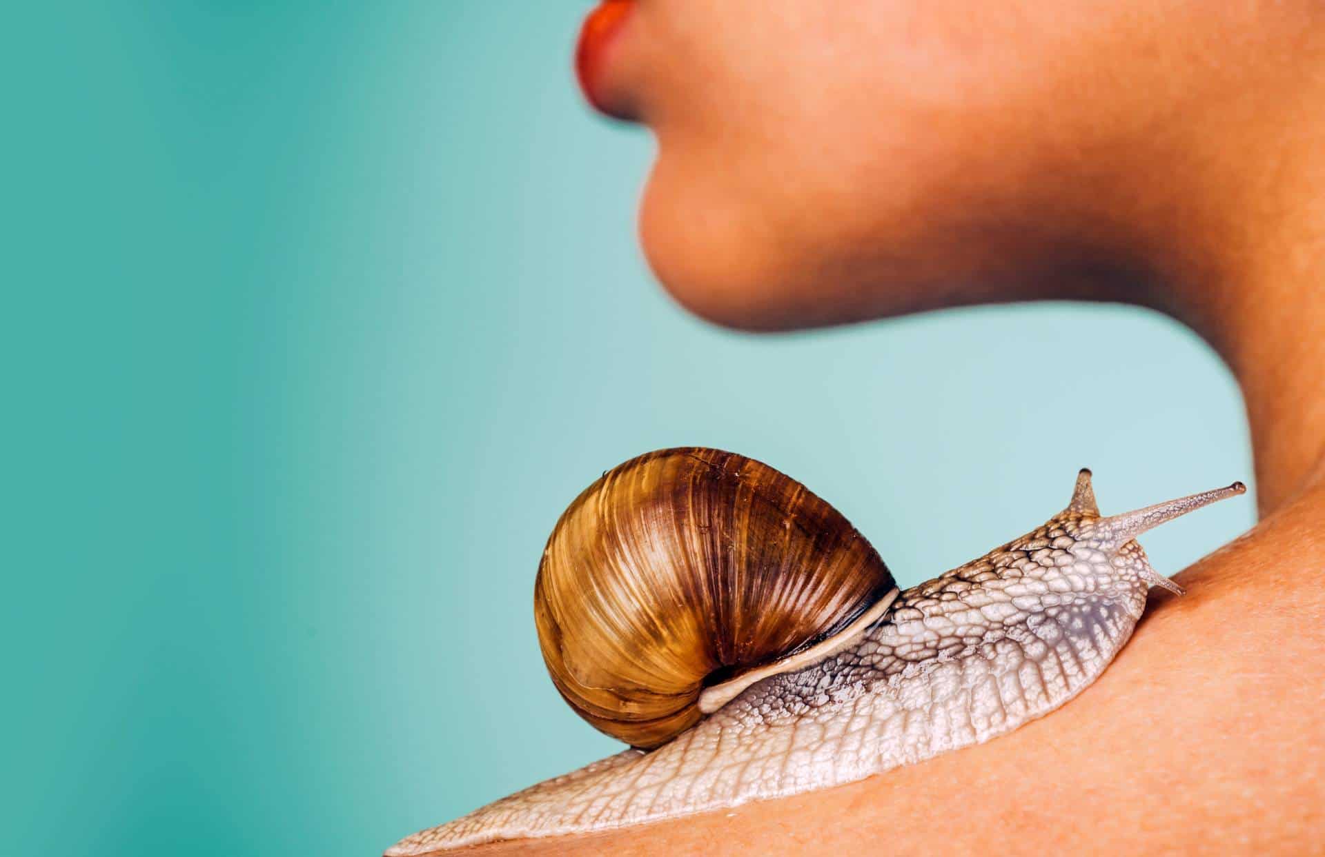 Snail Slime
