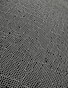 Madi Colins The Inspiring Journey Of A Social Media Star